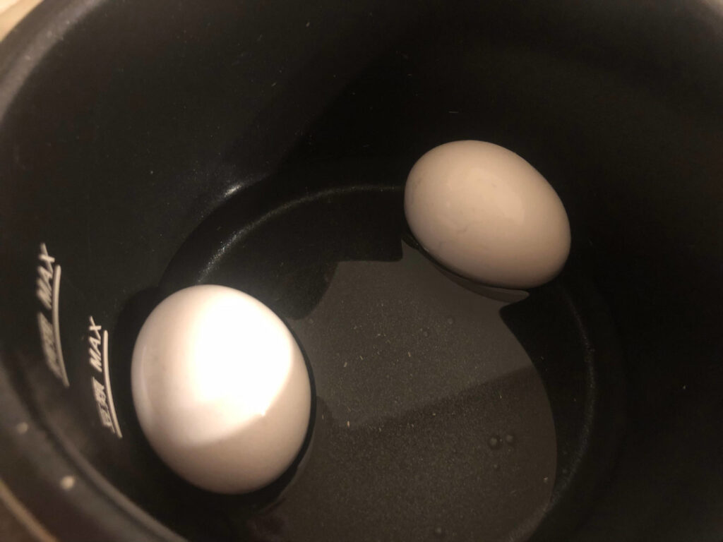 電気圧力鍋の内釜に入った殻付きの卵